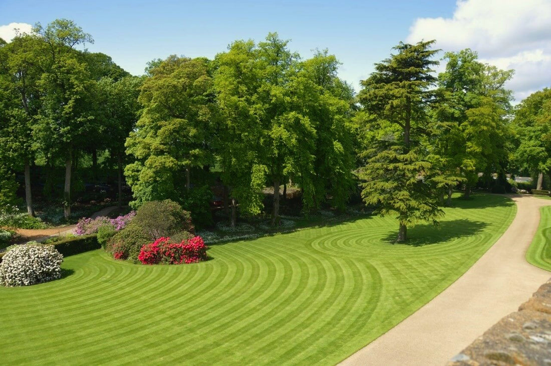 Allett creative lawn stripes entry