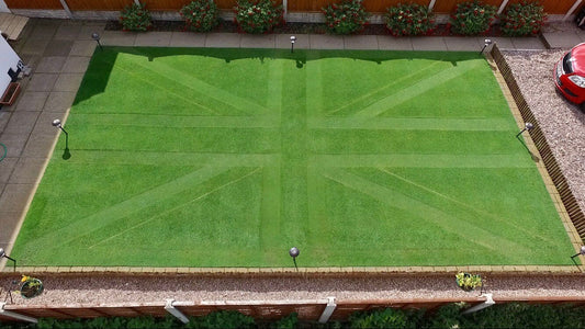 Creative Lawn Stripes Competition