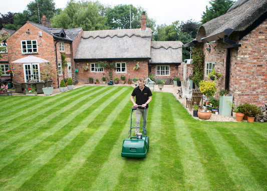 Why Does Cut Grass Smell So Good?