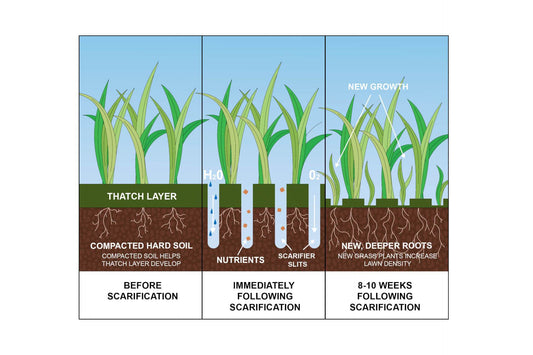 How To Scarify Your Lawn